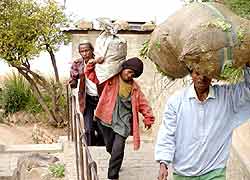 Idee der Stra&szlig;enkinder