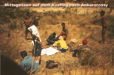 Auch beim Ausflug darf der Reis nicht fehlen!